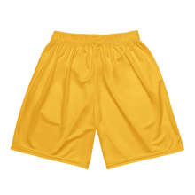 Load image into Gallery viewer, HOT STUFF MESH SHORTS